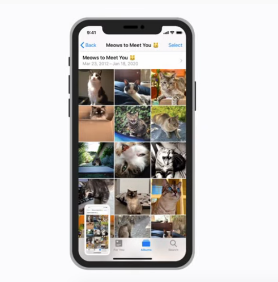 How To Take A Full Page Screenshot In iPhone 11